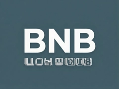 BNBָ�����ֱؿ���������ȫ����