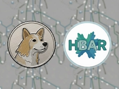 �����Һ�HBAR˭��ֵ��Ͷ��