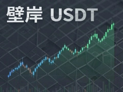 �ڰ�USDT�������Ʒ�������������