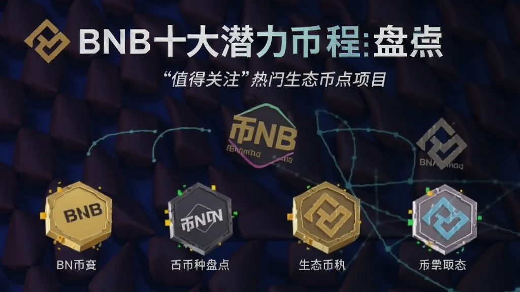 BNBʮ��Ǳ�������̵�ֵ�ù�ע �Ұ���̬������Ŀ��ͼ