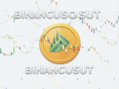 �Ұ�USDT��������������۸�̬