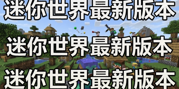 �����������°汾