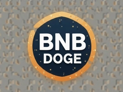 BNB��DOGE�������ƽ���