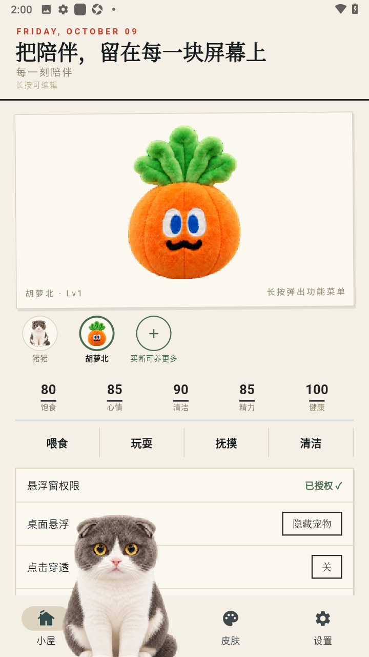Mochi桌宠