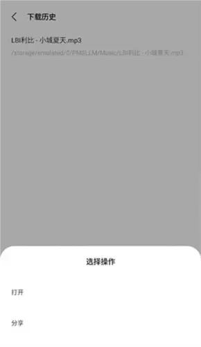 歌词适配器