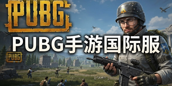 PUBG���ι��ʷ�