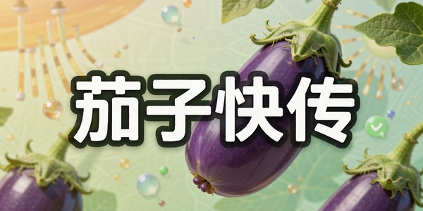���ӿ촫