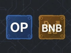 OP��BNB��̬�����»���