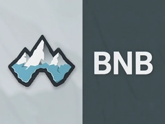 Avalanche��BNB�����Ž̳�
