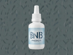 �ǰ�BNB�۸�Ԥ���������Ʒ���