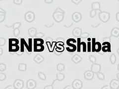 BNB��Shiba���ĸ���ֵ��Ͷ�ʶԱȷ���
