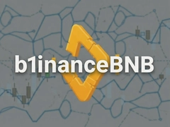 �Ұ�BNB������������������ʱ������