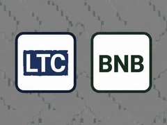 LTC��BNB˭��ֵ�ó��ڳ���