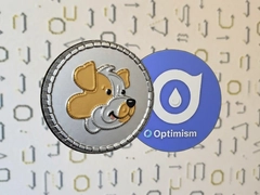 ��������Optimism��̬�����»�������