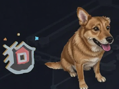�����Һ�SHIB˭��ֵ����