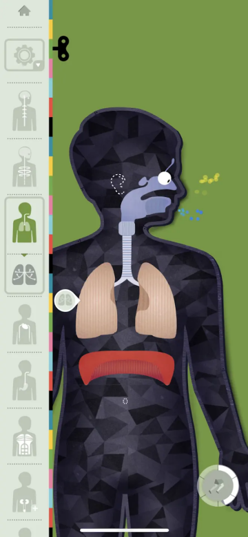 人体探秘最新版 人体探秘最新版