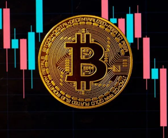 oe����ƽ̨�ٷ����������ַ