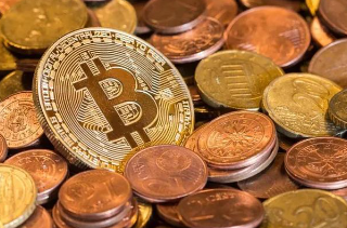 2026���ڽ��������а� ���ڽ���������Щ