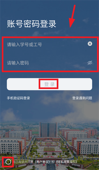 �ǻ��۹�����