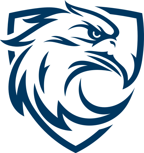 ��ӥӰ��v5.2.0 ������