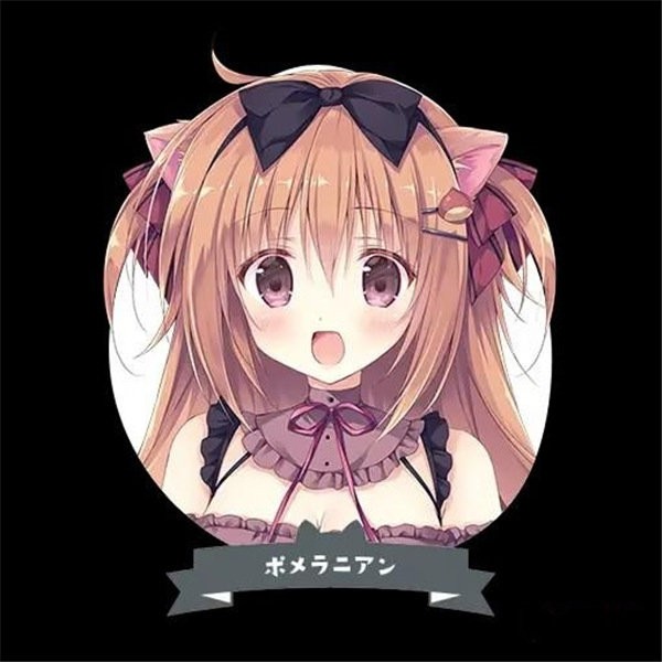 �ɿ�����3