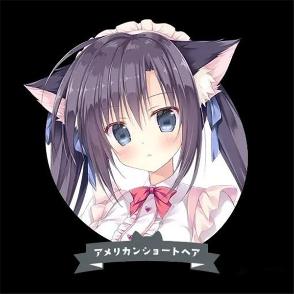 �ɿ�����3