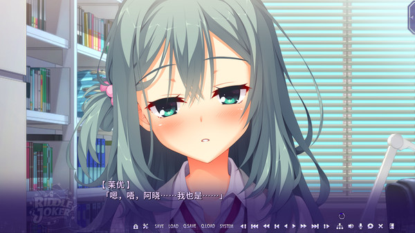 riddlejoker���ֱװv1.2.0 ���°�