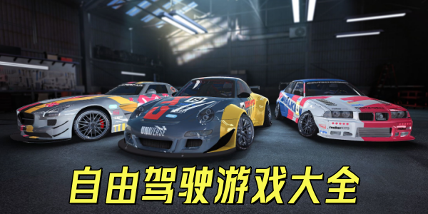 ���ɼ�ʻ��Ϸ