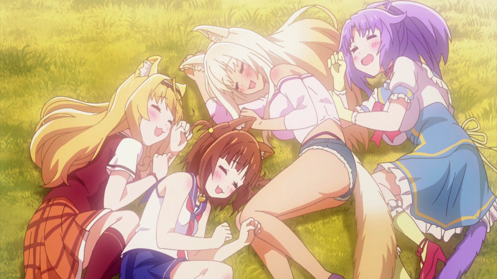 è����԰3ֱװ��(nekopara Vol.3)v1.1 �ֻ���