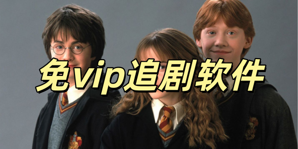 ��vip׷������