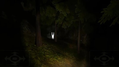 �ֲ�ɭ�����İ�����(Forest)v20 ������
