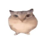 �ͰͲ�һ��Ϸv1.0 ��׿��