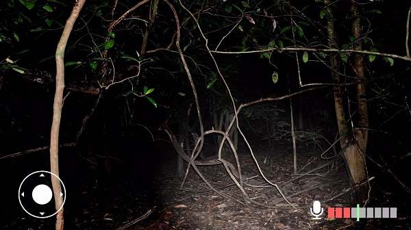 ��Ҫ�����Ϸ��׿��v0.0.3 ���İ�