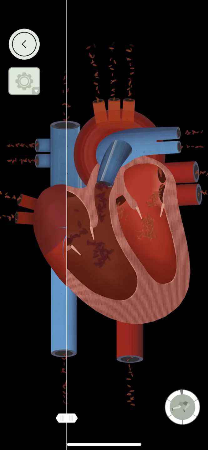 ����̽�����°�v3.6.7 ���Ѱ�