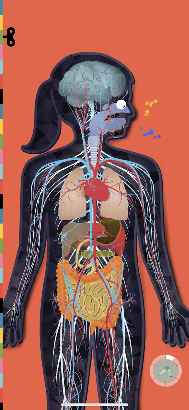 ����̽�����°�v3.6.7 ���Ѱ�