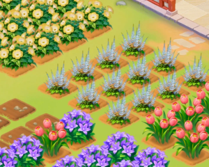 �ҵĻ�԰���粻봽���ô�� �ҵĻ�԰���粻봽���