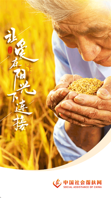 �����app�ٷ�����