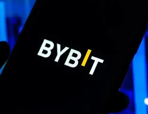 Bybit�ݱ�����������