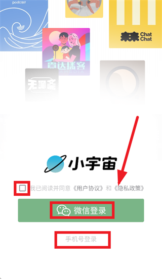 С����app����