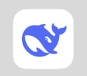 deepseek��ҳ����� deepseek��ҳ����ô�˳���¼