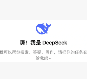 deepseek��ҳ����� deepseek��ҳ����ô�˳���¼