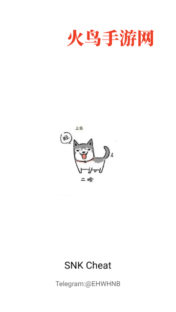 SNK Cheat˫������