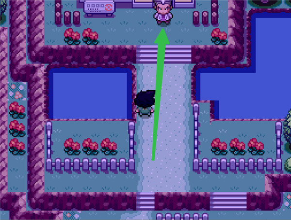 ������SA��ֲ��