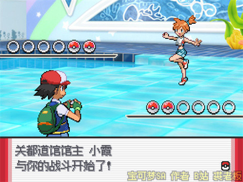 ������SA��ֲ��