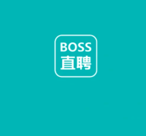 bossֱƸ��ҳ����� bossֱƸ��ҳ����ô���ô��к���