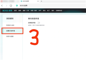 bossֱƸ��ҳ����� bossֱƸ��ҳ����ô���ô��к���