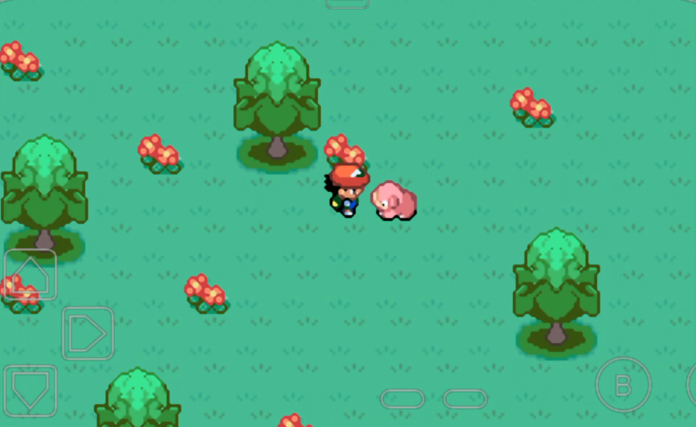 �ڴ�����ʥ�Һ�����