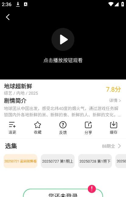 冬青影评官方正版 冬青影评官方正版