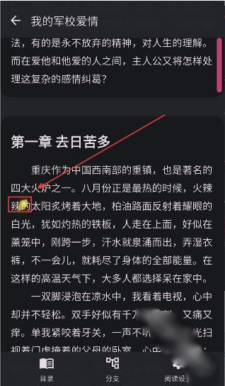 ����AIapp�ٷ�������