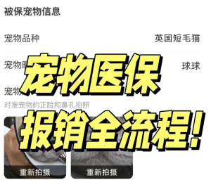 支付宝宠物保险报销流程 支付宝宠物保险报销流程